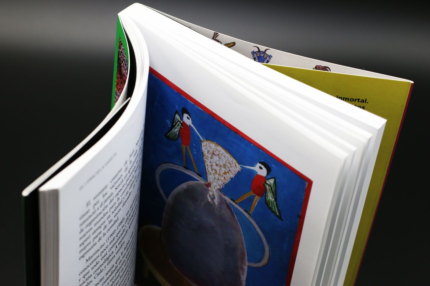 ART BRUT. La pulsión creativa al desnudo Graciela García - Sans Soleil  Ediciones